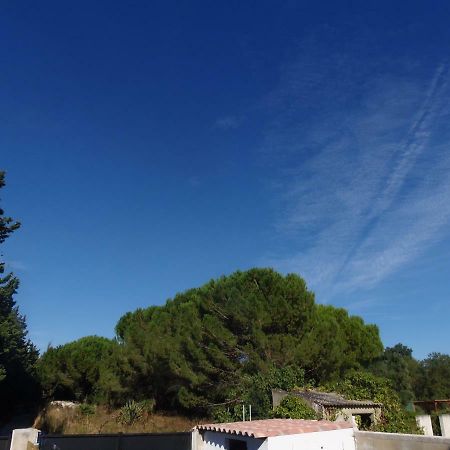 艾玛吉斯Joli Mazet Entre Montpellier Et Nimes公寓 外观 照片