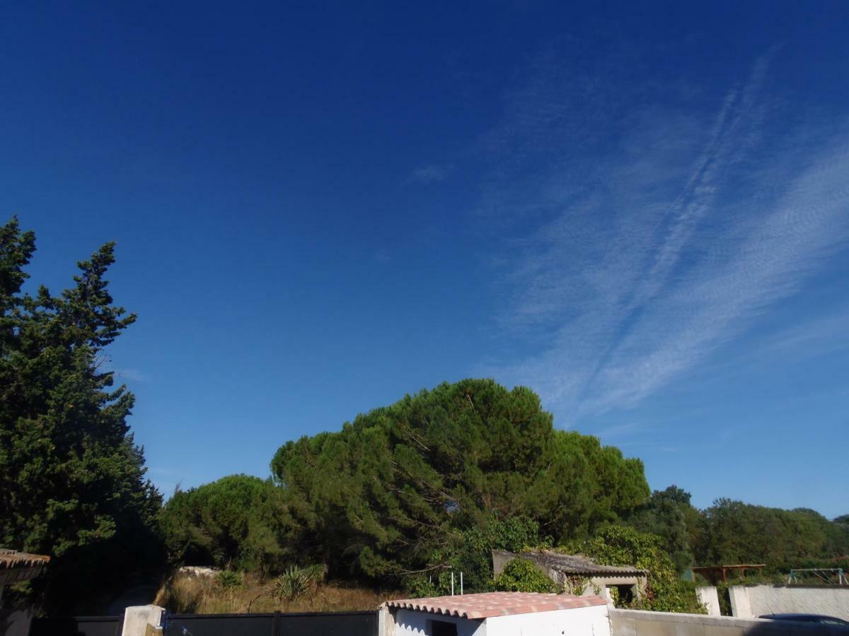 艾玛吉斯Joli Mazet Entre Montpellier Et Nimes公寓 外观 照片